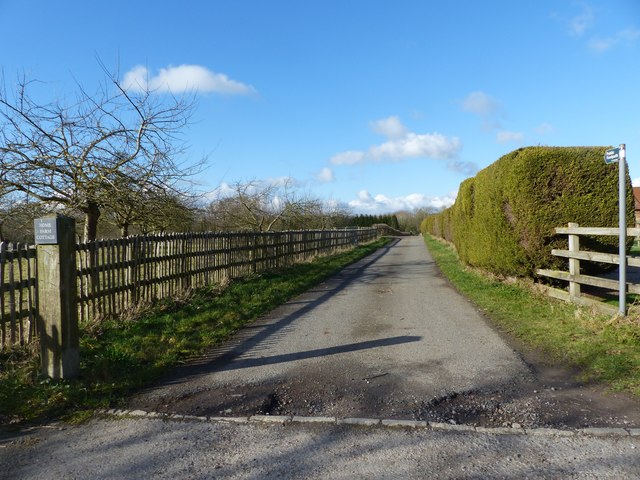 Lane leading to Home Farm