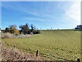 Field south of Kit Hill (lane)