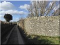 Walls of yard at Barnecourt