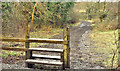 Stile and path, Lagan Lands East, Belfast (February 2018)