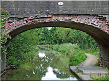 SO8757 : Rad Meadow Bridge north of Worcester by Roger  D Kidd
