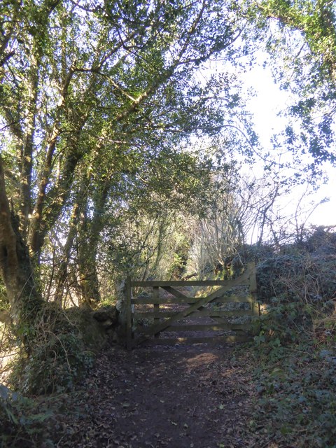 Gate in woodland on Hunters Tor