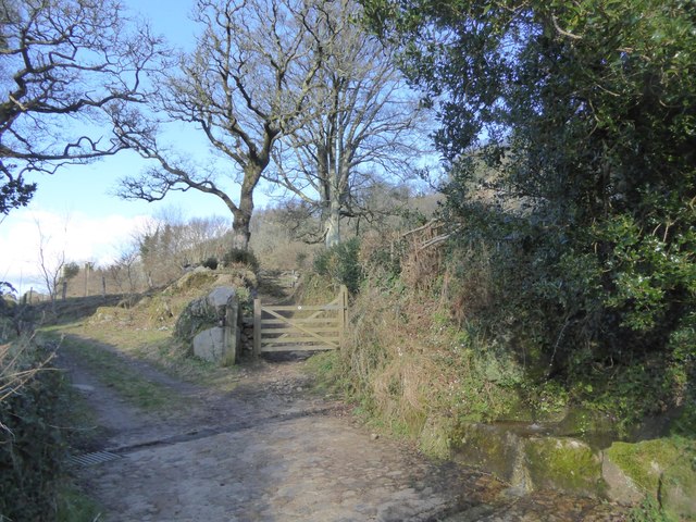 Field access and footpath gate at Foxworthy