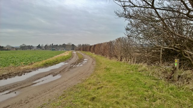 Track towards Stonecoft Farm