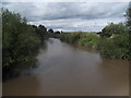 The river Severn at Maisemore