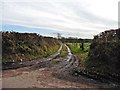 Track to Coombe Farm