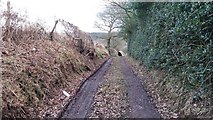 SO9676 : Lane leading to Manor Farm by Paul Collins