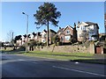 Houses on Chester Road South