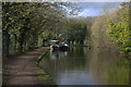 Grand Union canal between Billets Lane and Bushes lock