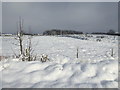 Snow at Killycurragh