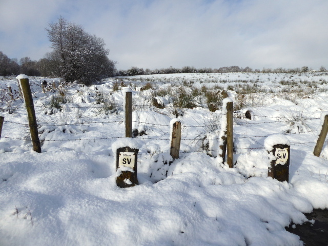 Posts in the snow, Killycurragh