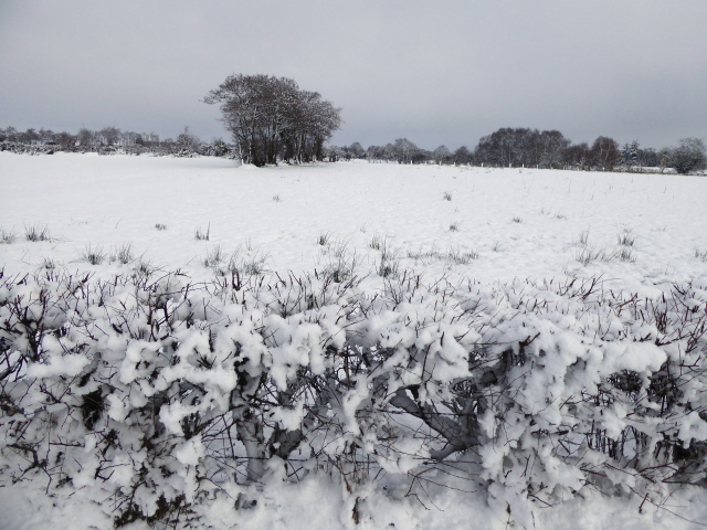 Snow, Killycurragh