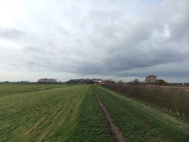 Approaching Crabley Farm