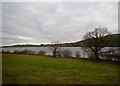 J2933 : Grazing land on the SE shores of Lough Island Reavy by Eric Jones