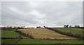 Hedged fields on a drumlin on the east side of the Upper Bann River