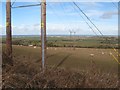 Pasture with pylons