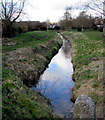 Mill Reen between Magor and Undy, Monmouthshire