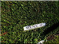 Vounog Hill name sign in a hedge, Penyffordd, Flintshire