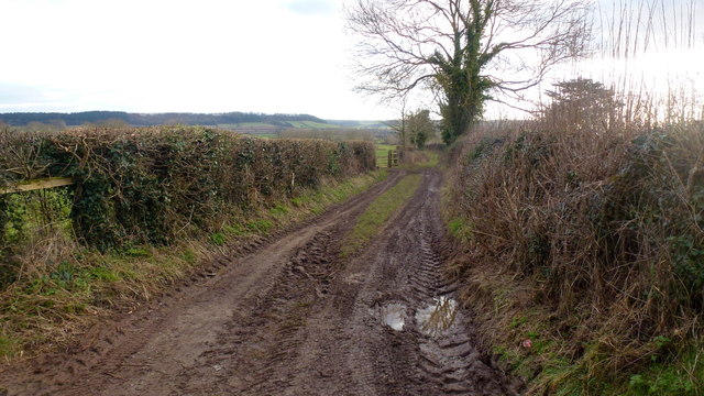 Farm track