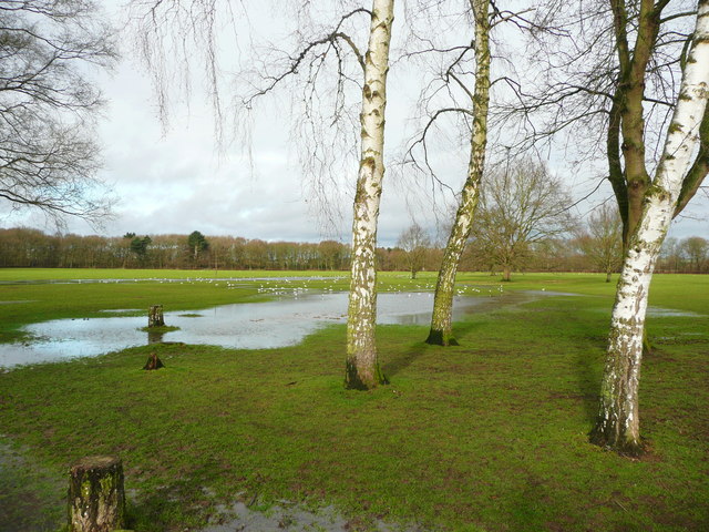 Flooded field, Elvaston Castle Country Park