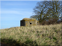 TF4033 : Pillbox on old sea bank by Robin Webster