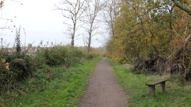 The Five Pits Trail Williamthorpe loop