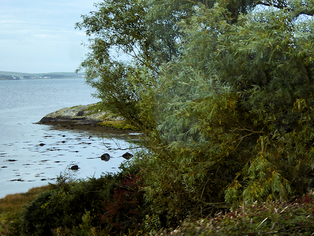 Shoreline near Strand Head
