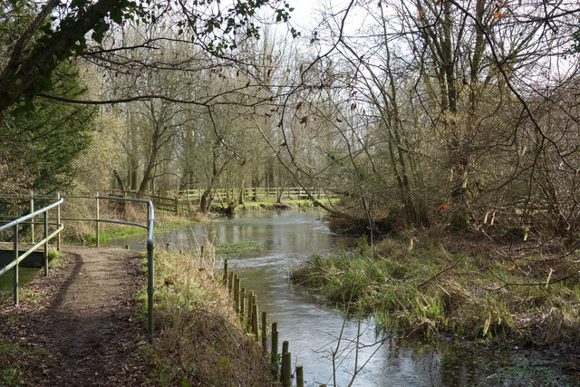 The Lambourn at Woodspeen © Des Blenkinsopp :: Geograph Britain and Ireland