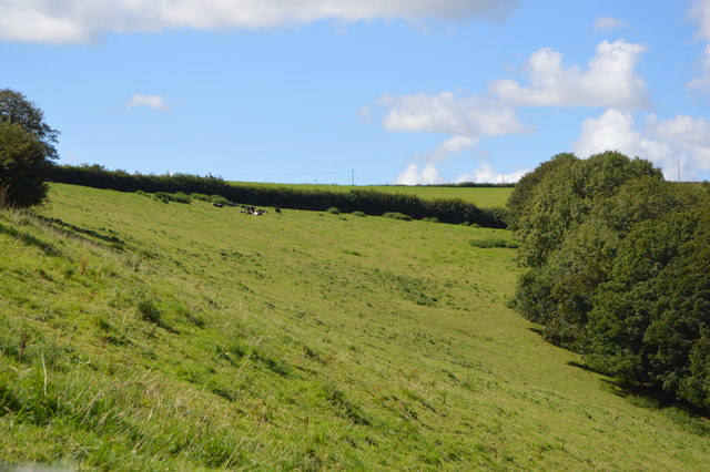 Steep pasture