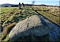 Stone row at East Cult