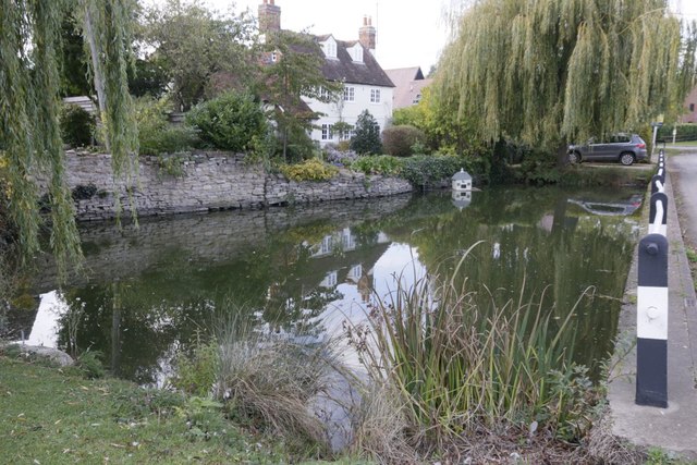 Pond at Sutton Wick