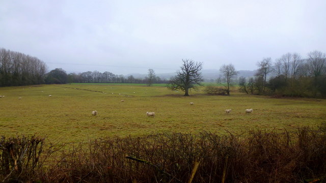 View across Wigmore Moor