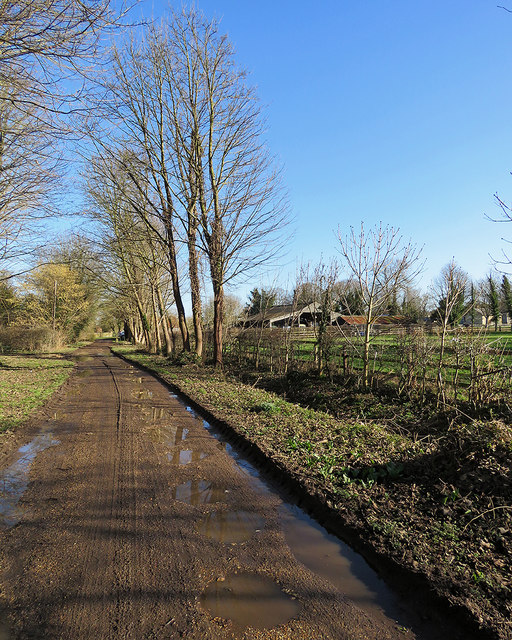 Pampisford: towards Manor Farm