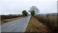 SO3973 : A4110 towards Leintwardine by Jonathan Billinger