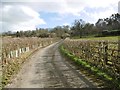 Turners Puddle, farm road