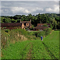 The North Worcestershire Path near Caunsall