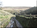 Syke Lane towards Syke farm