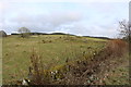 Farmland at Parton