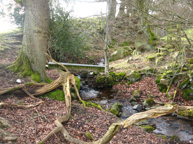 Foot bridge over a stream near Glan Aber