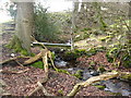 Foot bridge over a stream near Glan Aber