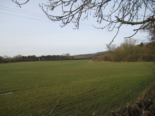 Longhill Wood and the Sykes