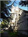 St Mary, Ewell: churchyard (v)