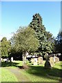 St Mary, Ewell: churchyard (x)