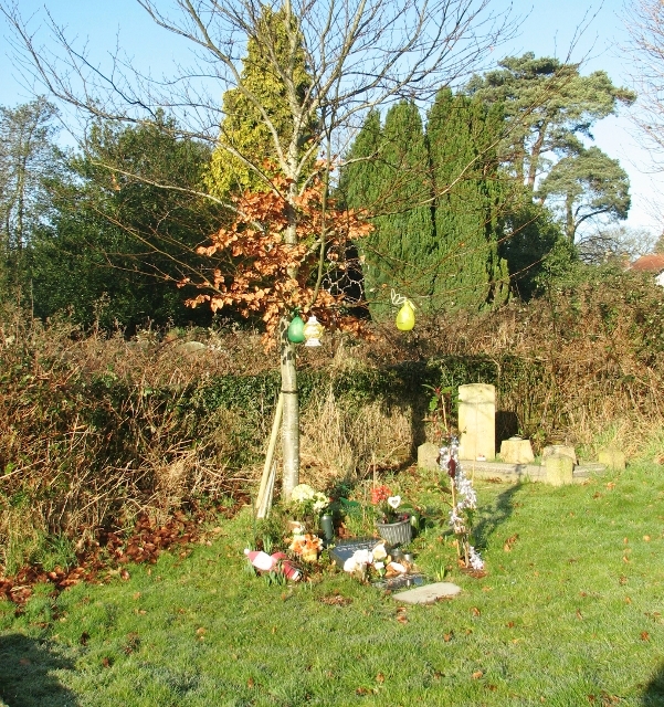 Memorial tree in Thorpe cemetery