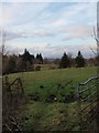 Field beside the Mearns Road