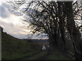 Track across the field at Flenders Farm