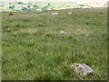 SN8331 : Y Pigwyn (Trecastle Mountain) stone row by Sandy Gerrard