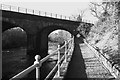 Viaduct, Dunblane