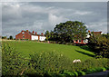 Pasture and housing at Caunsall in Worcestershire