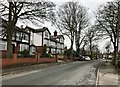 The Avenue, Basford